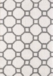 Dynamic Rugs SILKY SHAG 5903-119 White and Silver